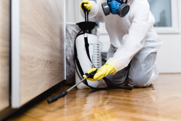 Best Bed Bug Extermination  in Shoemakersville, PA