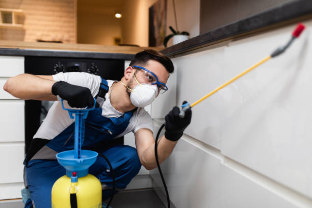 Best Mosquito Control Services  in Shoemakersville, PA