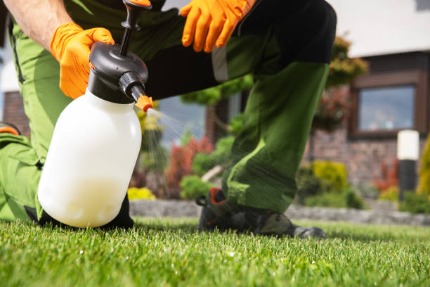 Best Affordable Pest Control Services  in Shoemakersville, PA