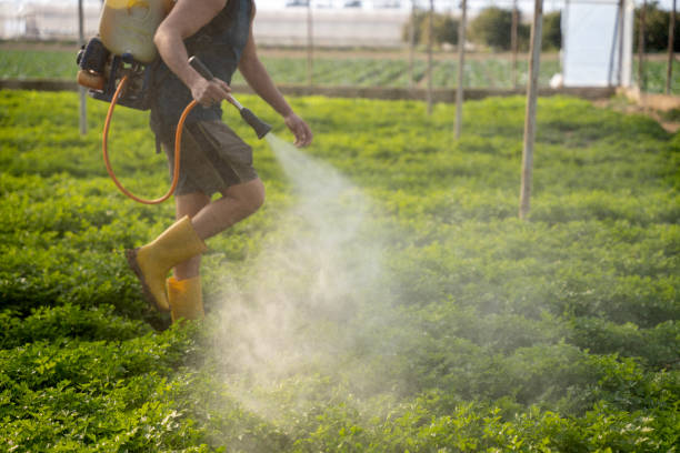 Best Mosquito Control Services  in Shoemakersville, PA