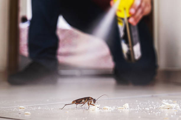Best Wildlife Control Services  in Shoemakersville, PA