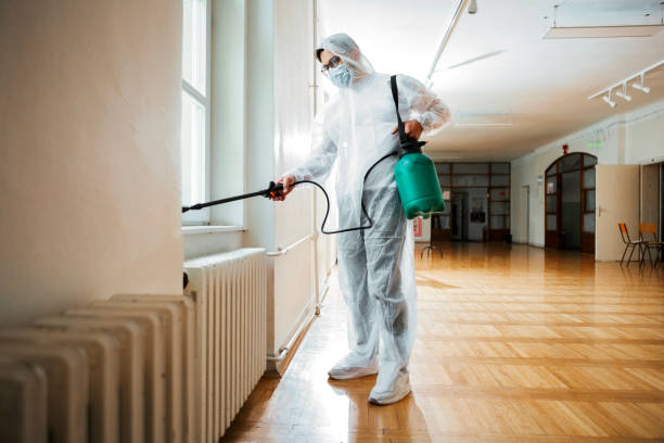 Best Flea Control Services  in Shoemakersville, PA