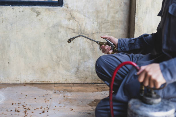 Best Pest Prevention Services  in Shoemakersville, PA